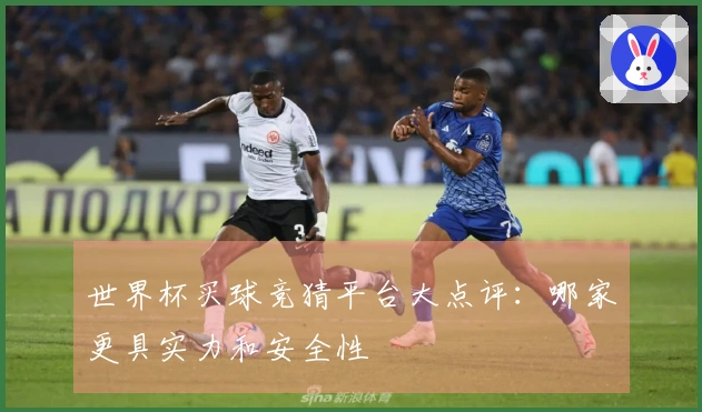 世界杯买球竞猜平台大点评：哪家更具实力和安全性