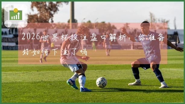 2026世界杯投注盘口解析，你准备好如何下注了吗