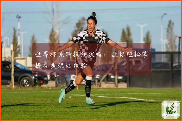 世界杯竞猜投注攻略,让你轻松掌握各类玩法经验