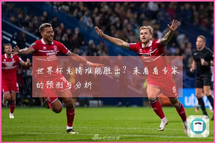 世界杯竞猜谁能胜出？来看看专家的预测与分析