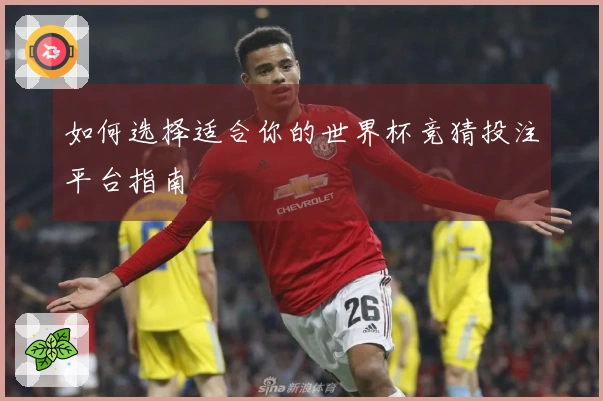 如何选择适合你的世界杯竞猜投注平台指南
