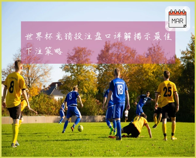 世界杯竞猜投注盘口详解揭示最佳下注策略