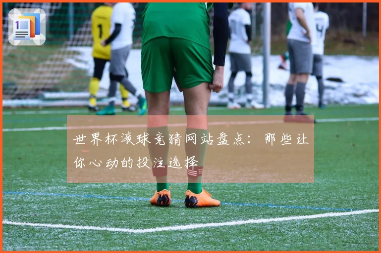 世界杯滚球竞猜网站盘点：那些让你心动的投注选择