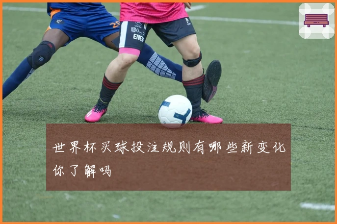 世界杯买球投注规则有哪些新变化你了解吗