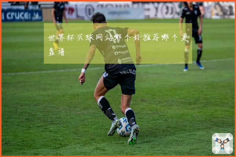 世界杯买球网站哪个好推荐哪个更靠谱