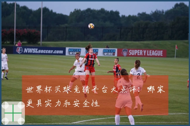 世界杯买球竞猜平台大点评：哪家更具实力和安全性