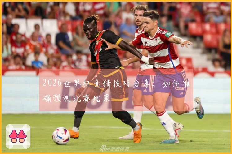 2026世界杯竞猜技巧分享：如何准确预测比赛结果