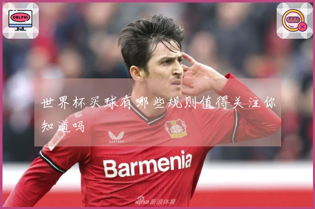 世界杯买球有哪些规则值得关注你知道吗
